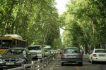 تشکیل پرونده قضایی در خصوص خشک شدن درختان خیابان ولی‌عصر(عج)