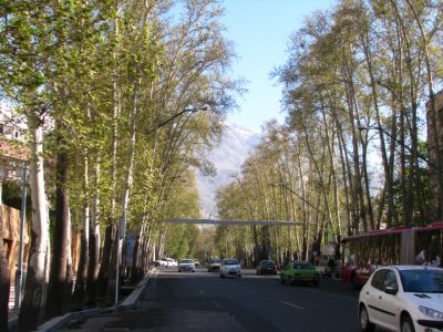 در پی انتشار فیلمی در فضای مجازی انجام شد؛ دادستان تهران مامور رسیدگی به موضوع خشک شدن درختان خیابان ولیعصر شد