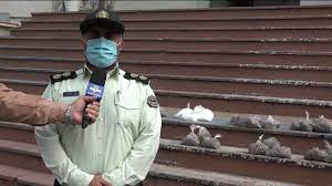 کشف ۳۴ کیلوگرم مواد افیونی در زیباکنار رشت