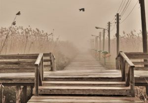 دستور رئیس حوزه قضایی بندرکیاشهر؛ایمن سازی نقاط حادثه خیز بخش