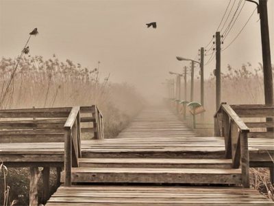 دستور رئیس حوزه قضایی بندرکیاشهر؛ایمن سازی نقاط حادثه خیز بخش