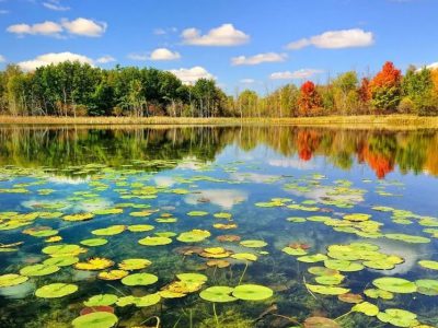 سازمان ثبت اسناد اعلام کرد؛بیش از ۵ هزار هکتار از اراضی تالاب بندر انزلی سنددار شد