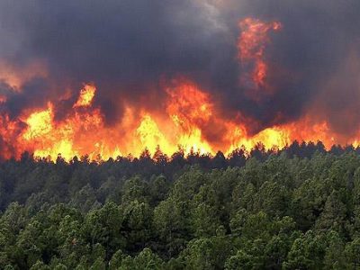 دستگیری عاملان آتش سوزی های عمدی لاهیجان/ بازداشت چند دهیار و شورای روستا