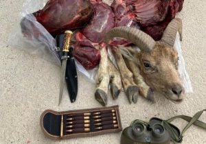 «شکار» در قانون