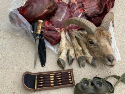 «شکار» در قانون