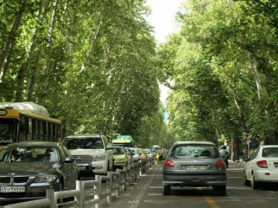 تشکیل پرونده قضایی در خصوص خشک شدن درختان خیابان ولی‌عصر(عج)