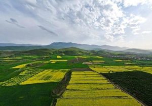 صدور سند مالکیت برای بیش از ۹۰۰ هزار هکتار از اراضی زراعی استان خوزستان/ مالکیت ۲۲۰ هزار هکتار از اراضی موقوفه تثبیت شد