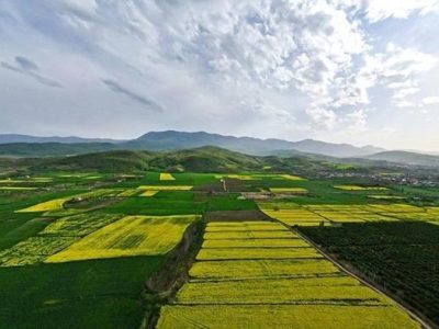 صدور سند مالکیت برای بیش از ۹۰۰ هزار هکتار از اراضی زراعی استان خوزستان/ مالکیت ۲۲۰ هزار هکتار از اراضی موقوفه تثبیت شد