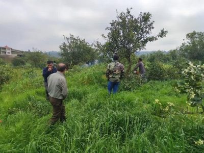 رئیس کل دادگستری مازندران: ۳ هزار متر از اراضی ملی در قائم‌شهر خلع ید شد