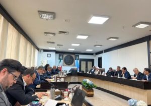 در نشست مسئولان استان کرمان با معاون اول قوه قضائیه چه گذشت؟