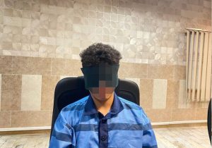 شهریاری: متهمان قتل دانشجوی دانشگاه تهران ۴۰ فقره سرقت مرتکب شده‌اند