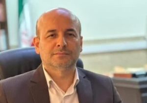 معاون دادگستری تهران: سرقت کاهش یافته است