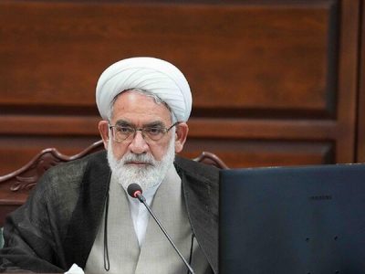 رئیس دیوان‌عالی‌ کشور: بسیاری از قضات و کارکنان رفتار شایسته‌ای با ارباب رجوع دارند، تعدادی از همکاران نه