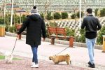 سگ‌گردانی در اصفهان ممنوع شد/ اجرای طرح ویژه برخورد با سگ‌گردانی در اصفهان