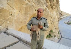 توضیحات دادستان یاسوج درباره پرونده شهادت محیطبان خاییز