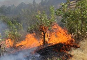 تشکیل پرونده قضایی برای آتش‌سوزی کوه آبیدر سنندج