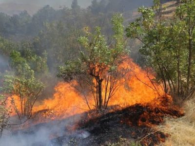 تشکیل پرونده قضایی برای آتش‌سوزی کوه آبیدر سنندج