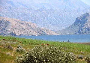 با پیگیری سازمان بازرسی کل کشور؛ صدور سند مالکیت تک‌برگ تالاب پریشان به نام سازمان حفاظت محیط‌زیست