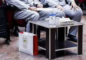 ضبط یک ویلای ۸ هزار متری از متهم ردیف اول پرونده چای دبش