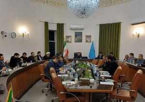 صالحی: نهادهای ارفاقی به مجرمان خطرناک و حرفه‌ای تعلق نمی‌گیرد